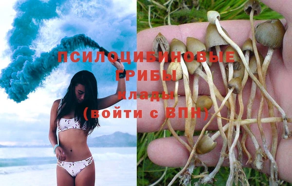 героин Новокубанск