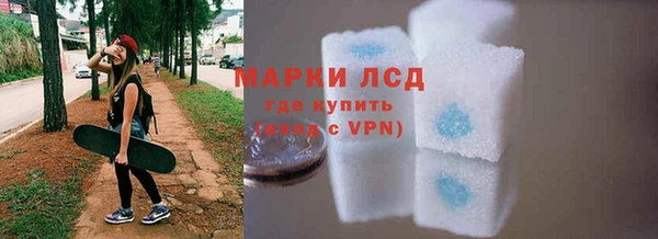 мдпв Новозыбков
