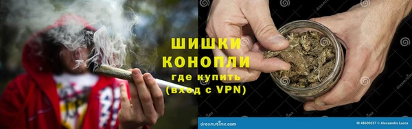 мдпв Новозыбков