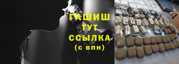 мдпв Новозыбков
