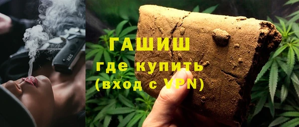 мдпв Новозыбков