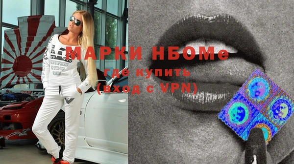 мдпв Новозыбков
