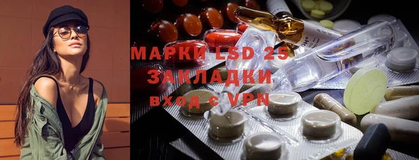 мдпв Новозыбков