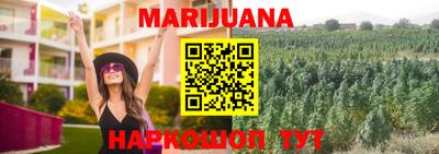 крисы Гай
