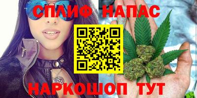 сатива Гатчина