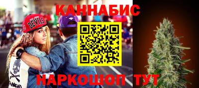 сатива Гатчина