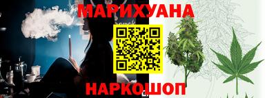 крисы Гай