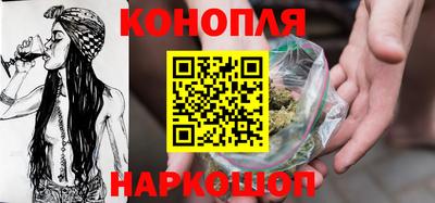 сатива Гатчина