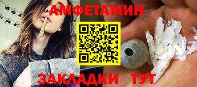 сатива Гатчина