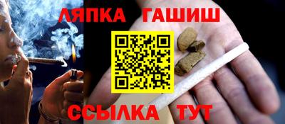 сатива Гатчина