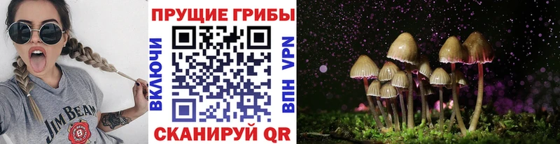 хочу наркоту  Костомукша  Галлюциногенные грибы мухоморы 