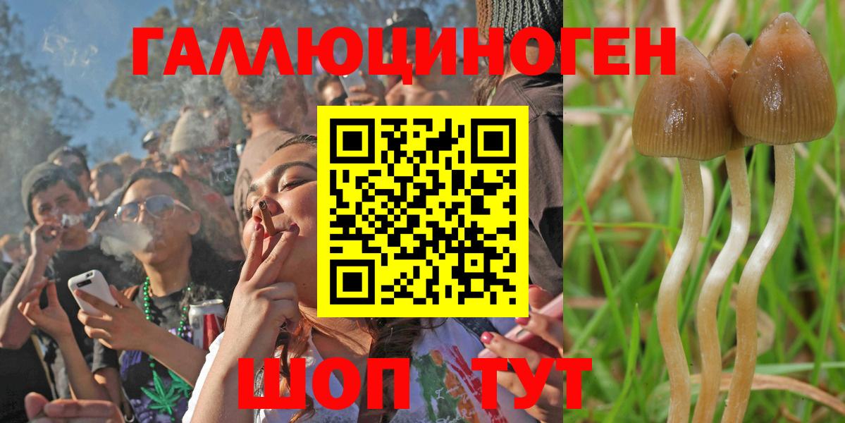 Галлюциногенные грибы GOLDEN TEACHER  Галлюциногенные грибы прущие грибы  Костомукша  Вход с VPN 